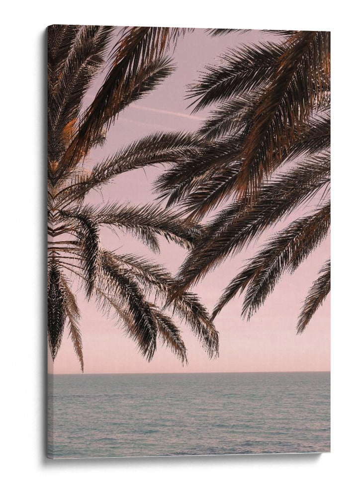 Océano con cielo rosa tropical - Fluidys Studio III | Cuadro decorativo de Canvas Lab