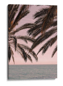 Océano con cielo rosa tropical - Fluidys Studio III | Cuadro decorativo de Canvas Lab