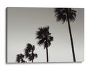 Palmeras azotadas por el viento - Fluidys Studio III | Cuadro decorativo de Canvas Lab