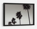 Palmeras azotadas por el viento - Fluidys Studio III | Cuadro decorativo de Canvas Lab