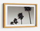Palmeras azotadas por el viento - Fluidys Studio III | Cuadro decorativo de Canvas Lab