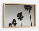 Palmeras azotadas por el viento - Fluidys Studio III | Cuadro decorativo de Canvas Lab