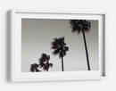 Palmeras azotadas por el viento - Fluidys Studio III | Cuadro decorativo de Canvas Lab