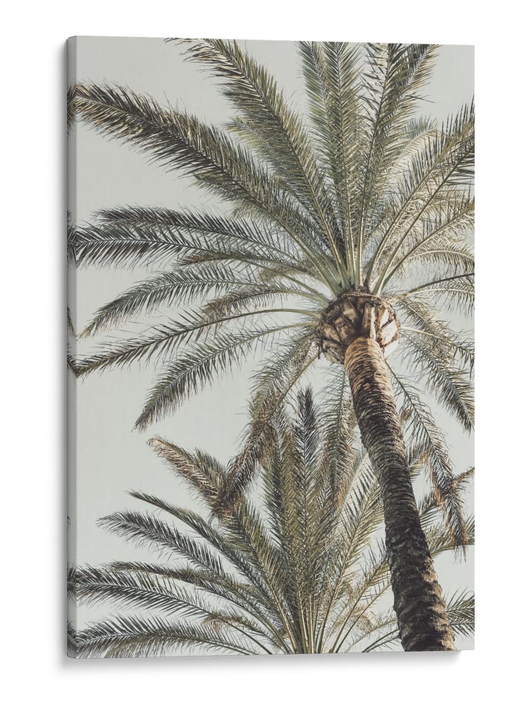 Palmeras altísimas - Fluidys Studio III | Cuadro decorativo de Canvas Lab