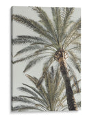 Palmeras altísimas - Fluidys Studio III | Cuadro decorativo de Canvas Lab