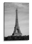 Majestuosidad de la Torre Eiffel - Fluidys Studio III | Cuadro decorativo de Canvas Lab