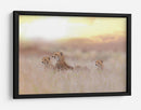 Luz dorada de la familia de guepardos - Ozkan Ozmen / | Cuadro decorativo de Canvas Lab