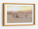 Luz dorada de la familia de guepardos - Ozkan Ozmen / | Cuadro decorativo de Canvas Lab