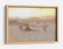 Luz dorada de la familia de guepardos - Ozkan Ozmen / | Cuadro decorativo de Canvas Lab