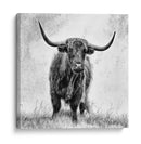 Majestuosa vaca de las Tierras Altas - Stephane Pecqueux | Cuadro decorativo de Canvas Lab