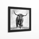 Majestuosa vaca de las Tierras Altas - Stephane Pecqueux | Cuadro decorativo de Canvas Lab