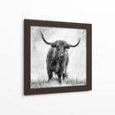 Majestuosa vaca de las Tierras Altas - Stephane Pecqueux | Cuadro decorativo de Canvas Lab