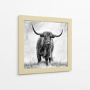 Majestuosa vaca de las Tierras Altas - Stephane Pecqueux | Cuadro decorativo de Canvas Lab
