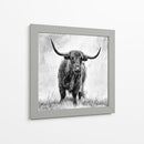 Majestuosa vaca de las Tierras Altas - Stephane Pecqueux | Cuadro decorativo de Canvas Lab