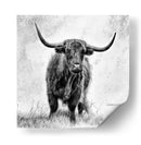 Majestuosa vaca de las Tierras Altas - Stephane Pecqueux | Cuadro decorativo de Canvas Lab