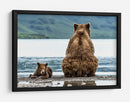 Osos junto al lago - Giuseppe DAmico | Cuadro decorativo de Canvas Lab