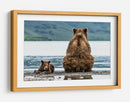 Osos junto al lago - Giuseppe DAmico | Cuadro decorativo de Canvas Lab
