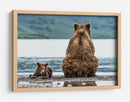 Osos junto al lago - Giuseppe DAmico | Cuadro decorativo de Canvas Lab