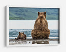 Osos junto al lago - Giuseppe DAmico | Cuadro decorativo de Canvas Lab