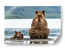 Osos junto al lago - Giuseppe DAmico | Cuadro decorativo de Canvas Lab