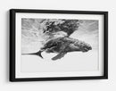 Majestuosa ballena jorobada - Barathieu Gabriel | Cuadro decorativo de Canvas Lab
