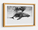 Majestuosa ballena jorobada - Barathieu Gabriel | Cuadro decorativo de Canvas Lab