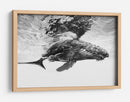Majestuosa ballena jorobada - Barathieu Gabriel | Cuadro decorativo de Canvas Lab