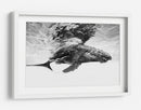 Majestuosa ballena jorobada - Barathieu Gabriel | Cuadro decorativo de Canvas Lab