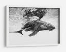 Majestuosa ballena jorobada - Barathieu Gabriel | Cuadro decorativo de Canvas Lab