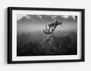 Majestuoso ciervo en la niebla - Robert Fabrowski | Cuadro decorativo de Canvas Lab