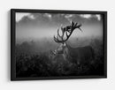 Majestuoso ciervo en la niebla - Robert Fabrowski | Cuadro decorativo de Canvas Lab