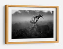 Majestuoso ciervo en la niebla - Robert Fabrowski | Cuadro decorativo de Canvas Lab