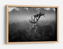 Majestuoso ciervo en la niebla - Robert Fabrowski | Cuadro decorativo de Canvas Lab