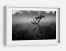 Majestuoso ciervo en la niebla - Robert Fabrowski | Cuadro decorativo de Canvas Lab