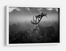 Majestuoso ciervo en la niebla - Robert Fabrowski | Cuadro decorativo de Canvas Lab