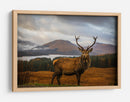 Majestuoso ciervo de las Tierras Altas - Adrian Popan | Cuadro decorativo de Canvas Lab