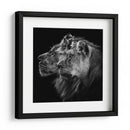 Pareja de leones majestuosos - Laurent Lothare Dambreville | Cuadro decorativo de Canvas Lab