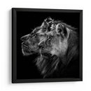 Pareja de leones majestuosos - Laurent Lothare Dambreville | Cuadro decorativo de Canvas Lab