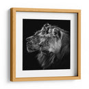 Pareja de leones majestuosos - Laurent Lothare Dambreville | Cuadro decorativo de Canvas Lab