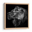 Pareja de leones majestuosos - Laurent Lothare Dambreville | Cuadro decorativo de Canvas Lab