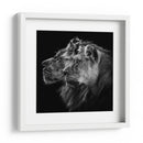 Pareja de leones majestuosos - Laurent Lothare Dambreville | Cuadro decorativo de Canvas Lab