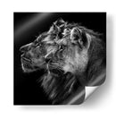 Pareja de leones majestuosos - Laurent Lothare Dambreville | Cuadro decorativo de Canvas Lab