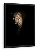 Leopardo en la sombra - Richard Guijt | Cuadro decorativo de Canvas Lab