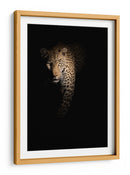 Leopardo en la sombra - Richard Guijt | Cuadro decorativo de Canvas Lab