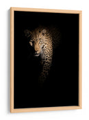 Leopardo en la sombra - Richard Guijt | Cuadro decorativo de Canvas Lab