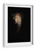 Leopardo en la sombra - Richard Guijt | Cuadro decorativo de Canvas Lab