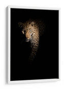 Leopardo en la sombra - Richard Guijt | Cuadro decorativo de Canvas Lab