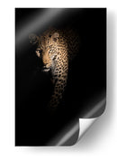 Leopardo en la sombra - Richard Guijt | Cuadro decorativo de Canvas Lab