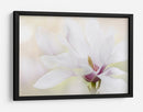 Magnolia blanca elegante - Jacky Parker | Cuadro decorativo de Canvas Lab