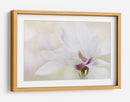 Magnolia blanca elegante - Jacky Parker | Cuadro decorativo de Canvas Lab